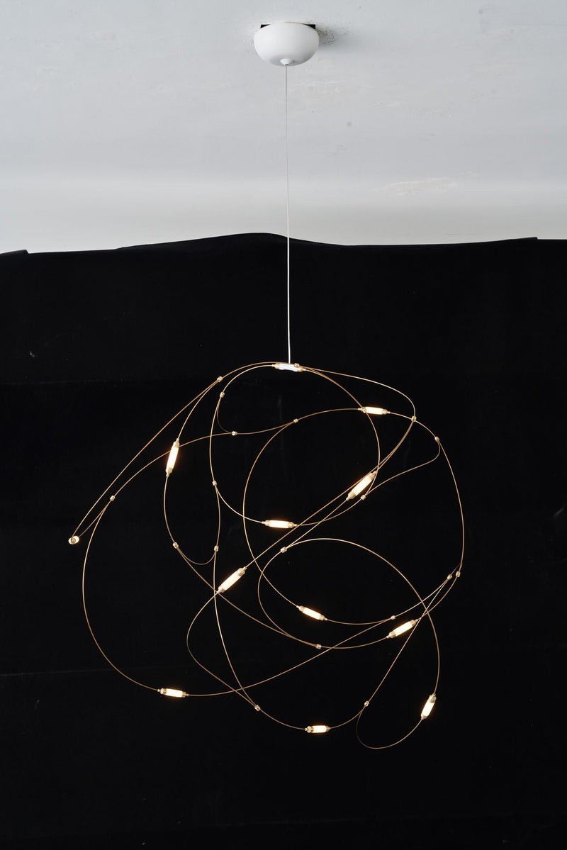 Flock of Light 11